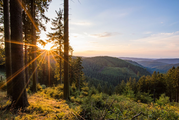 The Sauerland