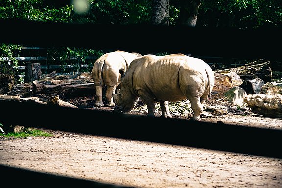 Zoo Dortmund